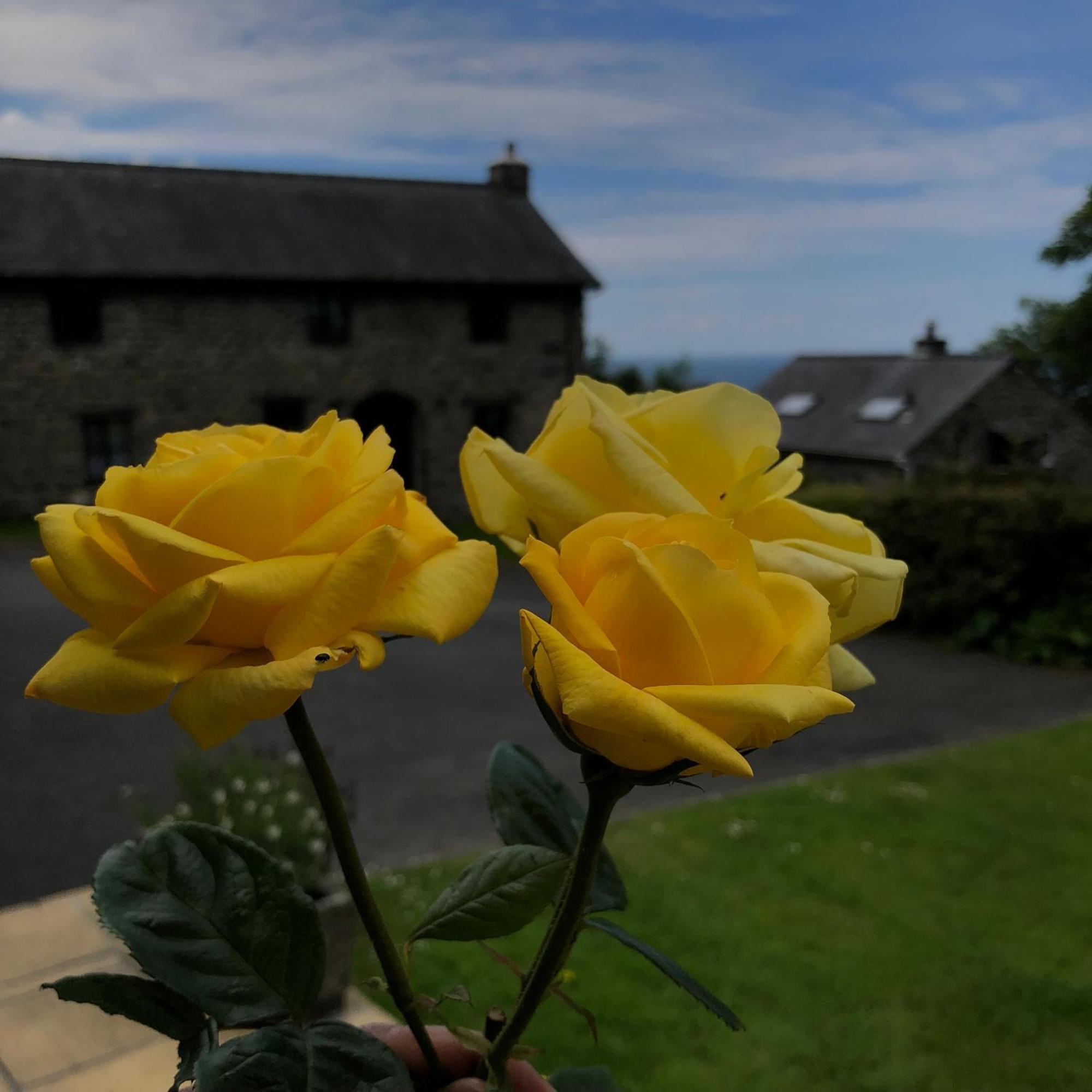The Old Farmhouse B&B Dyffryn Ardudwy Kültér fotó