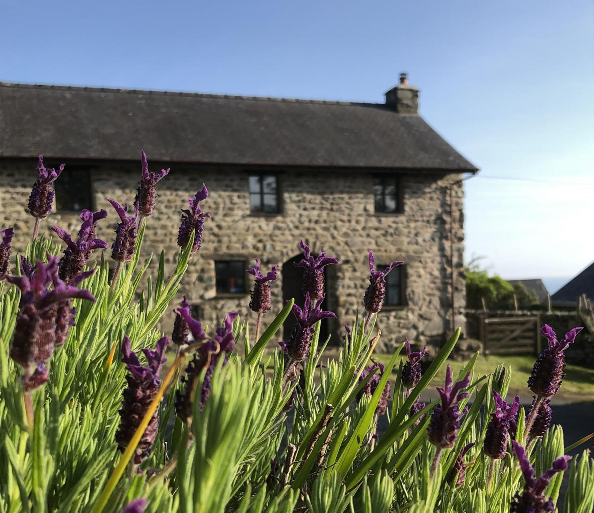 The Old Farmhouse B&B Dyffryn Ardudwy Kültér fotó